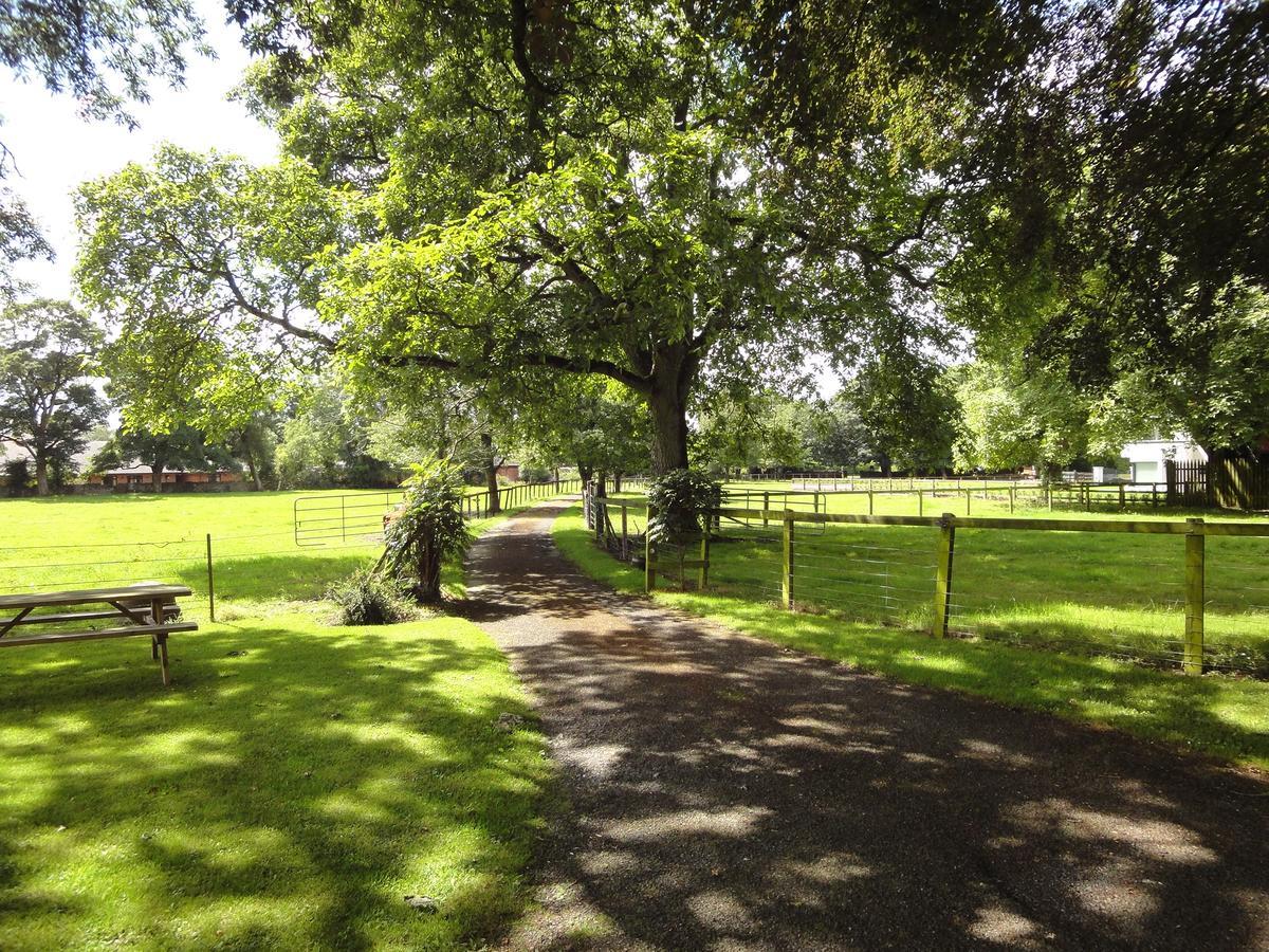 Glendine House Kilkenny Bed and Breakfast Εξωτερικό φωτογραφία
